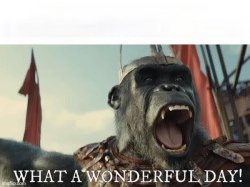 What a Wonderful Day Meme Template