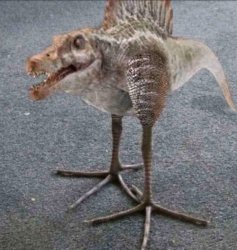 Spino bird Meme Template