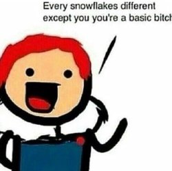 Every Snowflake is Different Meme Template