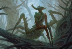 Lumberjack mantis in the foggy mires Meme Template