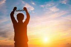 Bro thought he was free Meme Template