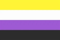enby flag Meme Template
