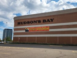 The Hudson's Bay Spirit Meme Template
