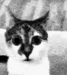 Shocked cia agent Meme Template