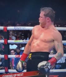 Canelo Meme Template