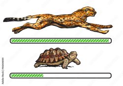 Cheetah and Turtle Comparison Meme Template