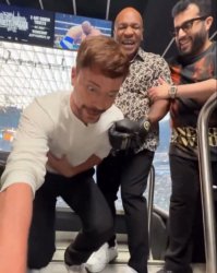 mrbeast punched by tyson Meme Template