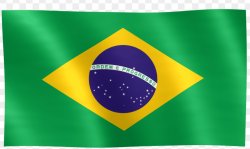 Faz igual ao nepal Meme Template