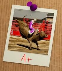 kinger riding bull Meme Template