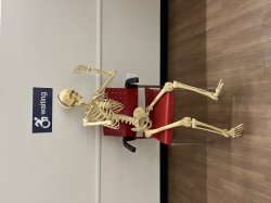 Waiting Skeleton Meme Template