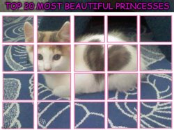 top 20 most beautiful princesses Meme Template