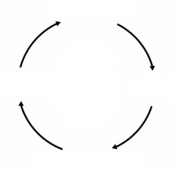Circle of Life Meme Template