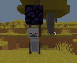 Obsidiain yeeter Meme Template