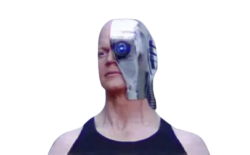 Kickpuncher Meme Template