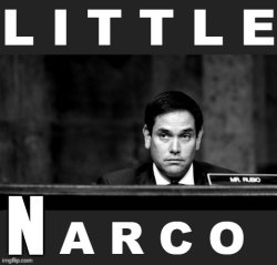 Little Narco Rubio Meme Template