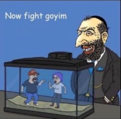 Israel Jew maga liberal Meme Template