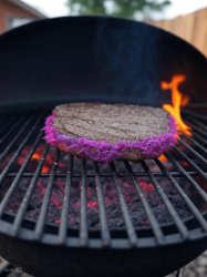 Furry BBQ Meme Template