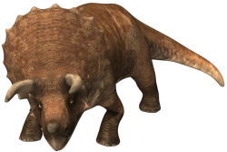 Triceratops 10 Meme Template