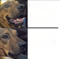 Happy dog/Serious dog Meme Template