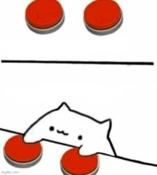 Cat with both buttons Meme Template