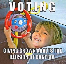 Voting: giving grown adults the illusion of choice Meme Template