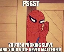 Pssst... your vote never mattered. Meme Template
