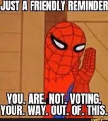 You are not voting your way out of this Meme Template