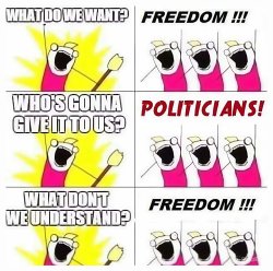 politics is a hoax Meme Template