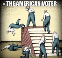 voting does not change anything Meme Template