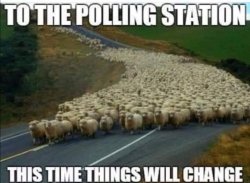 "To the polling station. This time things will change." Meme Template