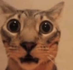 Shocked Meme Template