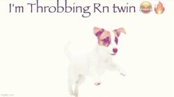 I'm throbbing rn twin Meme Template