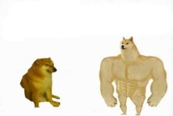 Mirror Dogs Meme Template