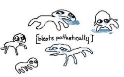 pathetic creature Meme Template