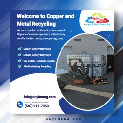 Calgary Battery Recycling Meme Template