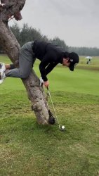 Golfer tree Meme Template