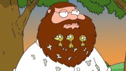 Peter Griffin Beard Birds Meme Template