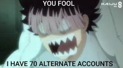You fool i have 70 alternate accounts Meme Template