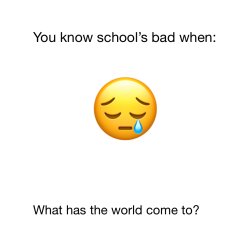 School SUCKS Meme Template