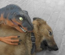 DInosaur Meme Template