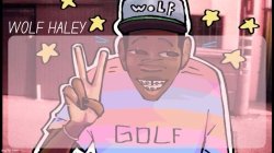 Foxed Wolf Haley Temp Meme Template