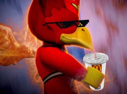 MEME BIRD APPROVES Meme Template