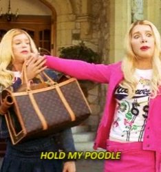 donde estan las rubias where are the blondes Meme Template