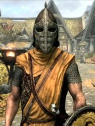 Skyrim guard Meme Template