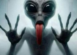 freaky alien Meme Template