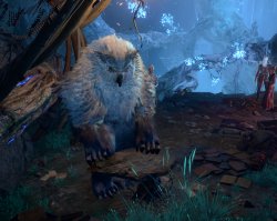 Owl Bear Baldurs Gate 3 Meme Template