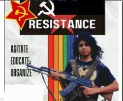 Transexual Resistance Meme Template