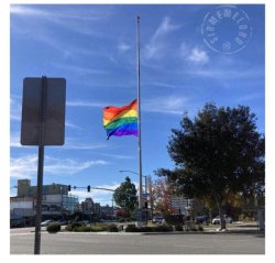 PRIDE flag at half staff Meme Template