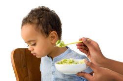 Toddler not eating Meme Template