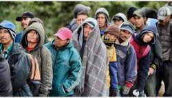 illegal immigrants migrants Meme Template